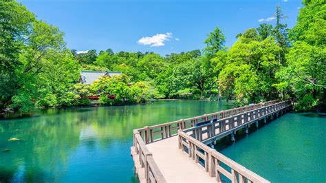 【20選】静岡県の一人で行けるおすすめ出会い場｜立ち飲み屋・ 